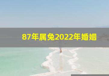 87年属兔2022年婚姻