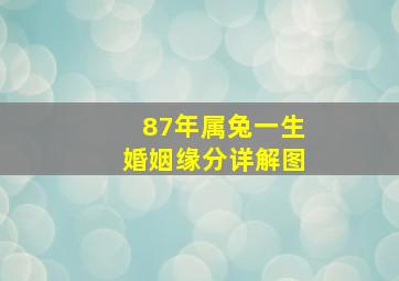 87年属兔一生婚姻缘分详解图