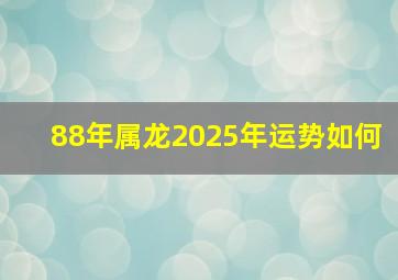 88年属龙2025年运势如何