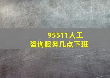 95511人工咨询服务几点下班