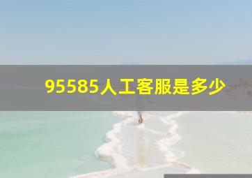 95585人工客服是多少