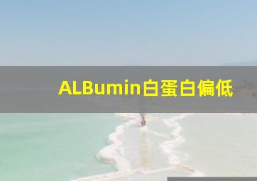 ALBumin白蛋白偏低