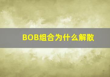 BOB组合为什么解散