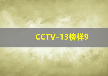 CCTV-13榜样9