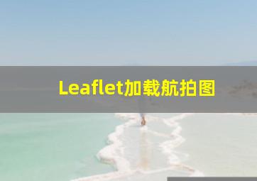 Leaflet加载航拍图