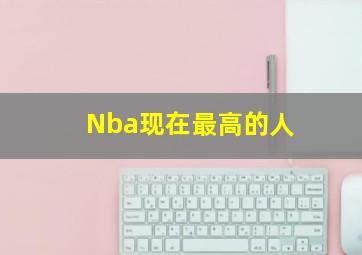 Nba现在最高的人