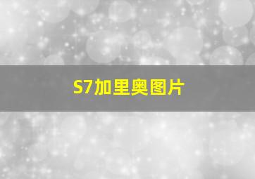 S7加里奥图片