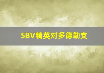 SBV精英对多德勒支