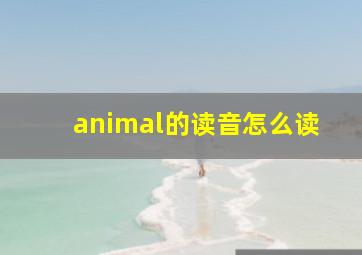 animal的读音怎么读