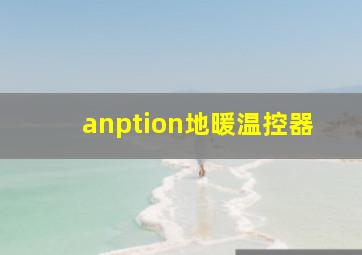 anption地暖温控器