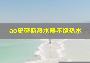 ao史密斯热水器不烧热水