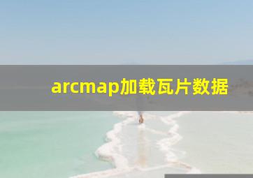 arcmap加载瓦片数据