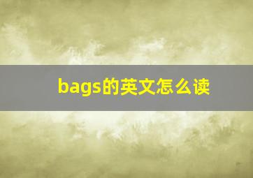 bags的英文怎么读