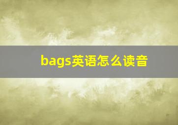 bags英语怎么读音