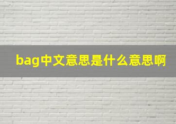 bag中文意思是什么意思啊