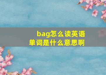 bag怎么读英语单词是什么意思啊