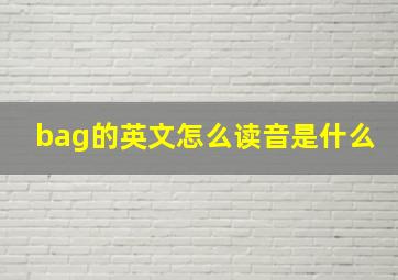 bag的英文怎么读音是什么