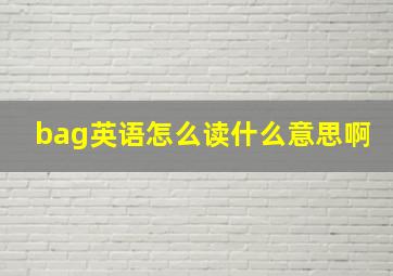 bag英语怎么读什么意思啊