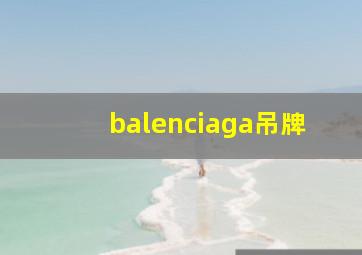 balenciaga吊牌