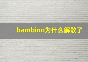 bambino为什么解散了