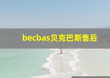 becbas贝克巴斯售后