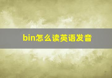 bin怎么读英语发音