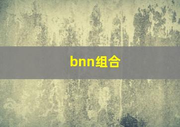 bnn组合