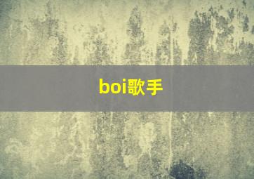 boi歌手