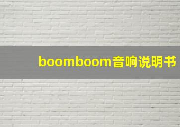 boomboom音响说明书