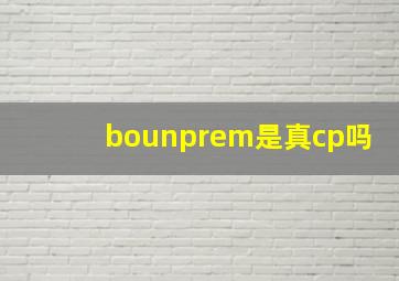 bounprem是真cp吗