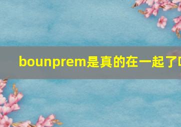 bounprem是真的在一起了吗