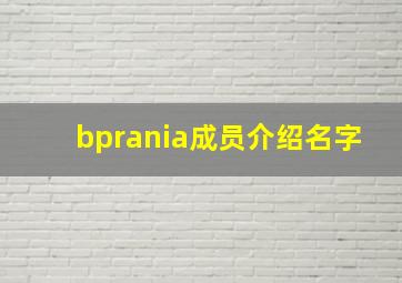 bprania成员介绍名字