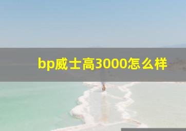 bp威士高3000怎么样