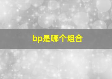 bp是哪个组合