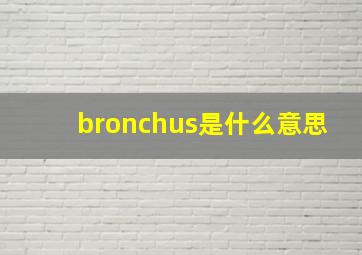 bronchus是什么意思