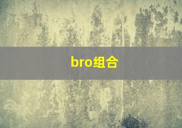 bro组合