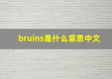 bruins是什么意思中文