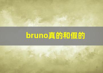 bruno真的和假的