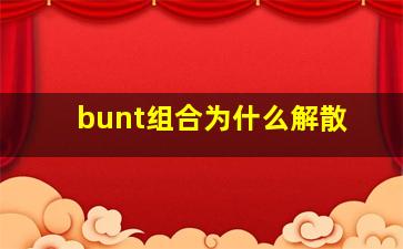 bunt组合为什么解散