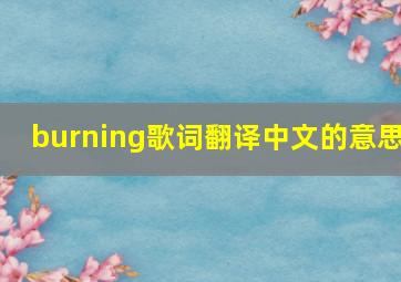 burning歌词翻译中文的意思