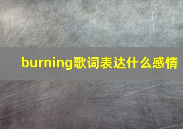 burning歌词表达什么感情