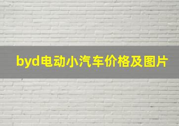 byd电动小汽车价格及图片