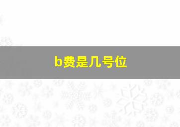 b费是几号位