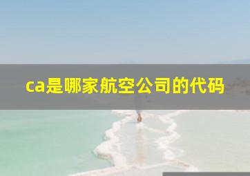 ca是哪家航空公司的代码