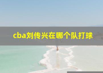 cba刘传兴在哪个队打球