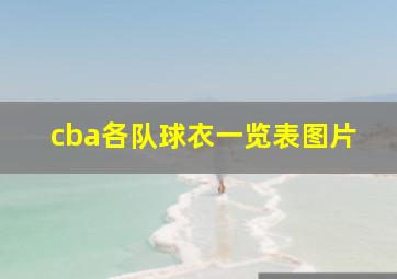 cba各队球衣一览表图片