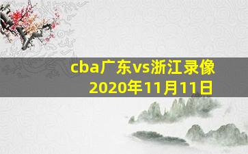 cba广东vs浙江录像2020年11月11日