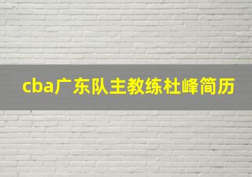 cba广东队主教练杜峰简历