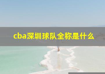 cba深圳球队全称是什么