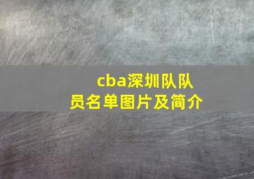 cba深圳队队员名单图片及简介